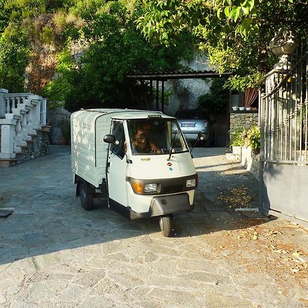 La Tana Del Tasso Ventimiglia Bed and Breakfast Εξωτερικό φωτογραφία