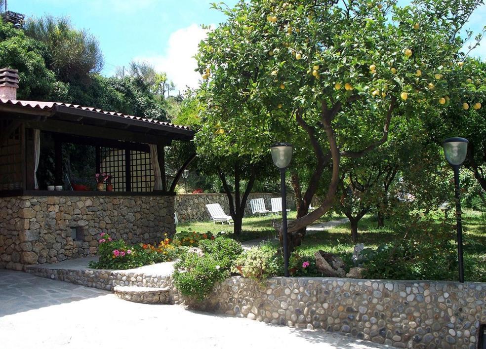 La Tana Del Tasso Ventimiglia Bed and Breakfast Εξωτερικό φωτογραφία