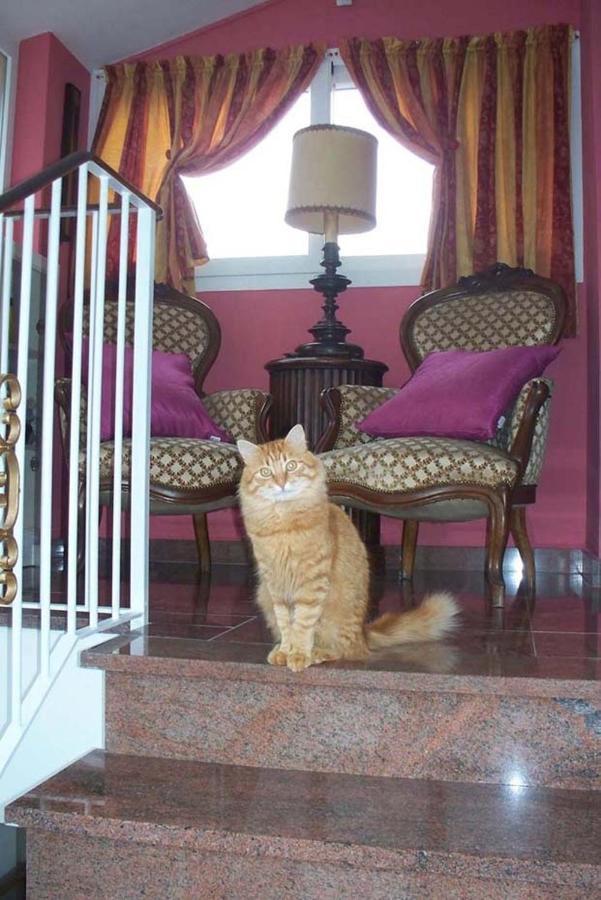 La Tana Del Tasso Ventimiglia Bed and Breakfast Εξωτερικό φωτογραφία