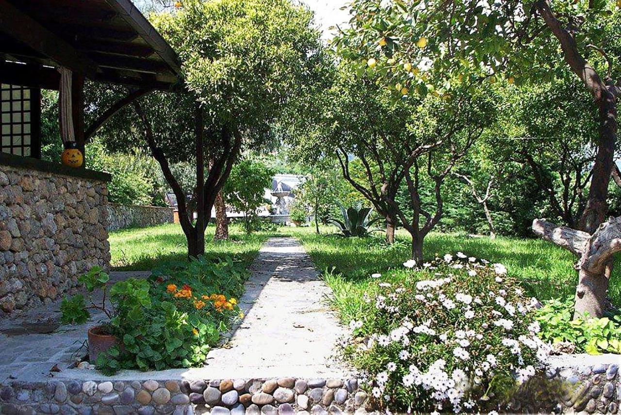 La Tana Del Tasso Ventimiglia Bed and Breakfast Εξωτερικό φωτογραφία